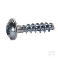 Torx varžtas 7101736