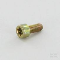 Torx varžtas M5x12 ALP2135180