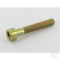 Torx varžtas M5x30 ALP2135050