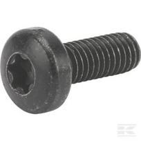 Torx varžtas TCB M6x16 1127278070