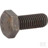 Varžtas M10x25 12.9
