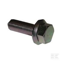 Varžtas M10x1 x 30 mm