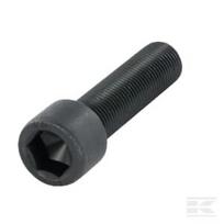 Šešiabriaunis varžtas M12x1.75x55 mm