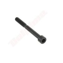 Varžtas M6 x 55 mm
