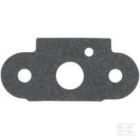 Įsiurbimo tarpinė Briggs & Stratton