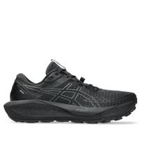 Asics Gel-Trabuco 13 GTX Men's