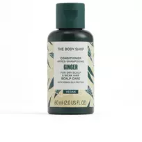 GINGER kondicionierius 60 ml