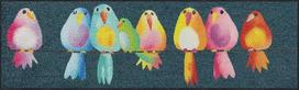 Salonloewe Kilimėlis Rainbow Birds 030 x 100 cm Batų stovėjimo aikštelė