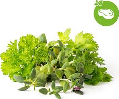 Click & Grow Plant Pod Steak Mix 9pcs