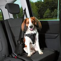 Automobilinis šuo diržas - Dog Protect - S-M - Tvirtas nailonas - Padeenaplinkos komfortas - Sustiprinta sauga