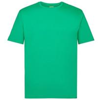 Marškinėliai vyrams, Žalia, Ocs reg cn ss t-shirts