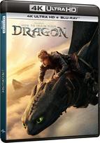 How to Train Your Dragon
