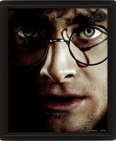HARRY POTTER (HARRY VS VOLDEMORT) - FRAMED