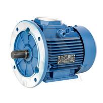 El. trifazi variklis 3,0 kW / 3000 APS / PAD-FL