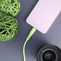 FORCELL F-ENERGY C347 cable Type C to Type C QC4.0 PD 5A 100W Silicone 1 m green