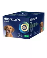 Milprazon Chewable 12.5 mg/125 mg tabletės nuo kirminų šunims nuo 5 kg svorio, 1 tabl