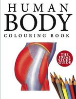 Human Body Colouring Book (The Ideal Study Guide)