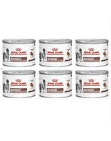 Royal Canin Vet Dog/Cat Recovery 195 g x 6
