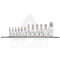 Antgaliai su galvute Torx  ir ertme T10-T40, 1/4 14 vnt