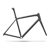 S-Works Aethos 2 rėmas | Rtp Raw Carbon - Premium Fjord Metallic