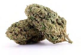 CANNALIGHT – Kanapių žiedai be THC