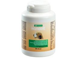Papildomas ėdalas šunims su vitaminais ir mineralais Diafarm Kanavit, 250 tab.