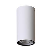 Lubinis lauko šviestuvas Fano 2002 4K, sandblasted white, LED, 3W