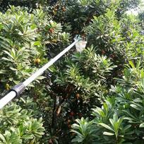 1/2/5pcs Convenient High-altitude Fruit Picker Device Horticultural Fruit Picker Gardening Apple Pear Peach Picking Tools 1 PC