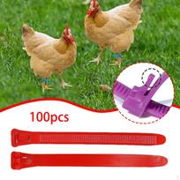 100 Pieces Chicken Leg Bands Poultry Identification Tags Rings for Bantam oranžinė