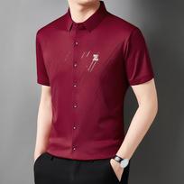 Men's Ice Silk Seamless Short-Sleeve Shirt - Wrinkle-Resistant & Iron-Free, White 2XL (180) [150-170 lbs] vyno raudonos spalvos