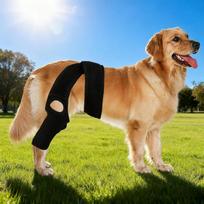 Adjustable Dog Hip & Leg Brace to Use Support for Back Legs Injured Elderly Dogs XS