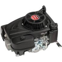 Variklis Loncin LC1P75F