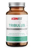 Tribulus 95 – augalinis kompleksas su cinku | ICONFIT (90 kaps.)