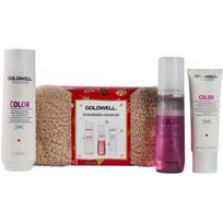 Goldwell Dualsenses Color dovanų rinkinys dažytiems plaukams moterims 3 vnt.