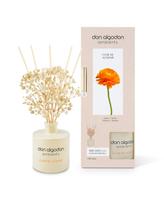 Don Algodon Flor de Azahar +60 dienų