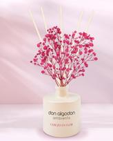 Don Algodon Cerezo en Flor +60 dienų