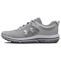 Under Armour Charged Assert 10 Mod Grey Vyriški sportbačiai Balti 3026175-102 43
