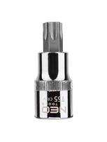 Antgalis torx 1/2" T55