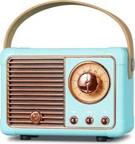 PRUNUS J-999 Mini Bluetooth Speaker with Radio FM, Retro Radio Bluetooth Speaker Rechargeable, Bluetooth 5.0/Superior Good Sound, Supports USB/TF/AUX/Hands-Free Calls (Blue)