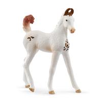SCHLEICH  HORSE CLUB Marwari veislės kumeliukas