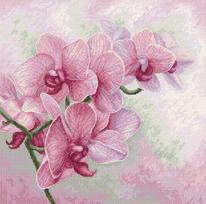 Grakščios orchidėjos – kryželių siuvinėjimo rinkinys, elegantiška dovana