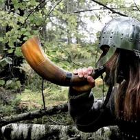Vikingų karo ragas - 45,72 cm tikras jaučio ragas, mūšio trimitas, aukščiausios kokybės, rankomis graviruotas
