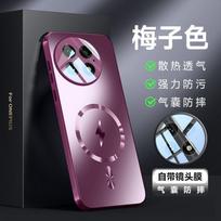 OnePlus 13 13R ACE 5 Pro dėklas Kietas Matinis Magnetinis belaidžio įkrovimo Objektyvo Apsauginis Galinis Dangtelis Dėklas One Plus 13 12 Korpusui OnePlus 13R violetinė