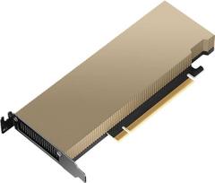 Pny Technologies Graphics card PNY NVIDIA L4 Module 24GB, PCIe 4.0 x16, LP - ATX bracket, retail