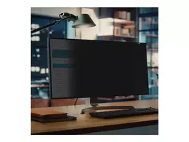 STARTECH Privacy Screen Dell P3424WE