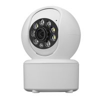 Valdoma IP kamera su žmonių detekcijos funkcija Pyramid PYR-SH400XF, 4Mpix, WIFI, MicroSD jungtis, iCsee app