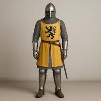 Viduramžių riterio šarvų komplektas su geltonu tunika Rankų darbo grandininis šarvas Plieniniai šarvai LARP, Istorinis atkūrimas, Cosplay, Helovino kostiumas