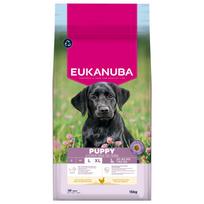 Eukanuba Dog Puppy Large Breed Chicken 15 kg | 113094 | 8710255201764