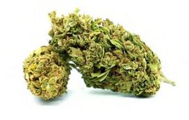 CBD Kanapių Žiedai „CHERRY COCO“ – Premium Kokybė
