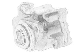 hidraulinis siurblys, vairo sistema 504243548